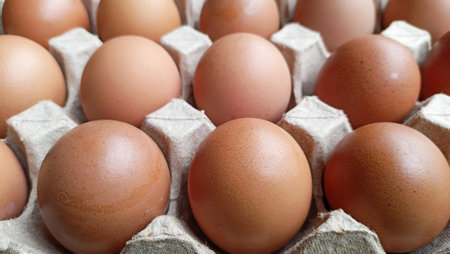closeup fresh eggs paper trayの写真素材