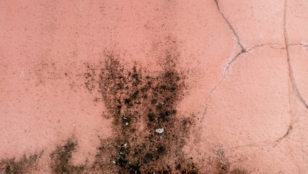 mold stains on orang crack wallの写真素材