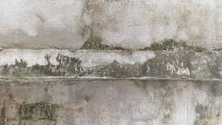 mold stains on crack wallの写真素材