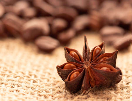 Coffee beans and illicium on a background of burlap. Roasted coffee beans background close up. Spice. Badian. Coffee house.の写真素材