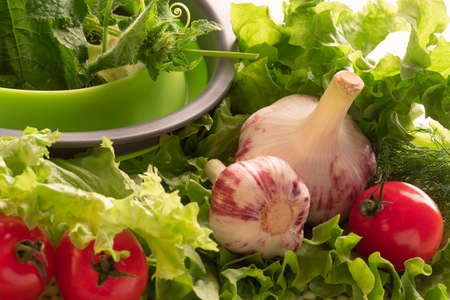 Close up of various colorful raw vegetablesの写真素材