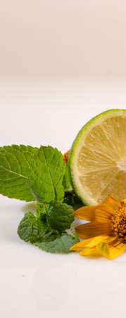 cut lime and mint on white backgroundの写真素材