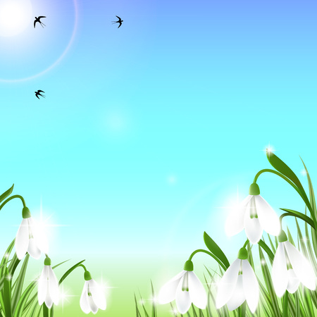 Spring background with snowdrop flowers, green grass, swallows and blue sky.のイラスト素材