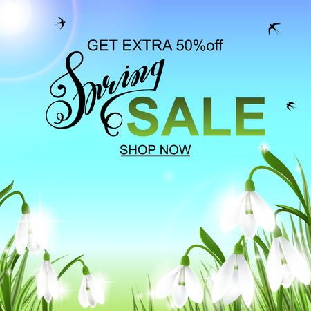 Spring background with snowdrop flowers, green grass, swallows and blue sky.のイラスト素材