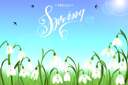 Spring background with snowdrop flowers, green grass, swallows and blue sky.のイラスト素材