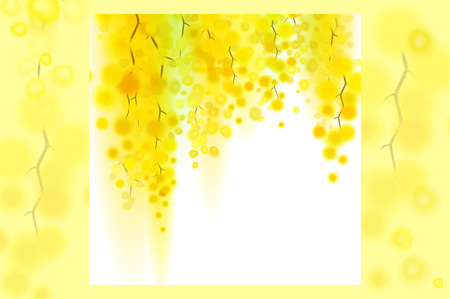 Yellow mimosa spring flowers vertical garland on white background.のイラスト素材
