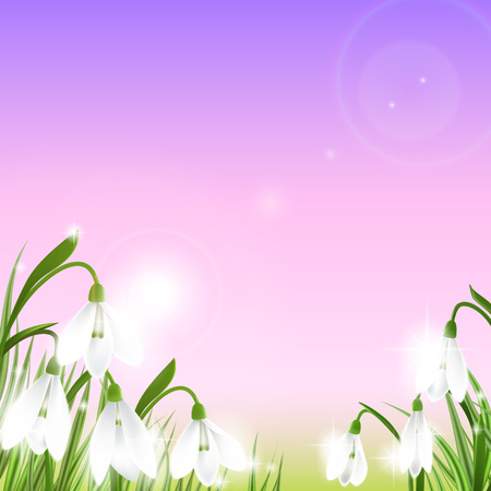 Spring background with galanthus snowdrop flowers, green grass, swallows.のイラスト素材