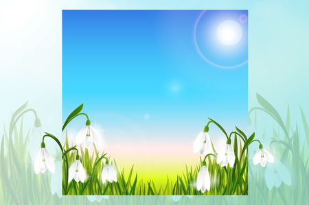 Spring background with galanthus snowdrop flowers, green grass, swallows and blue sky. Can be used for Easter, birthday, wedding, anniversary, save date, 8 march, woman's day. Seasonal sales.のイラスト素材