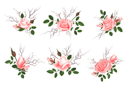 Bouquet of pink roses, delicate buds, flowers, branches. Can be used as greeting card, invitation card for wedding, birthday and other holiday and spring, summer background. Vector illustration EPS10.のイラスト素材