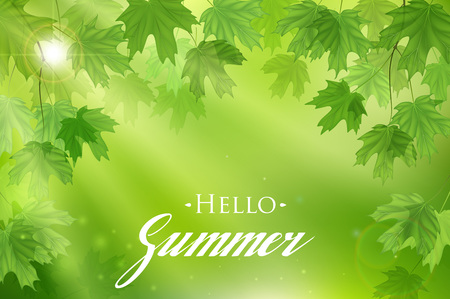 Forest fresh green Maple leaves with sun rays. Spring and Summer Background.のイラスト素材