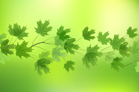 Forest fresh green leaves with sun rays. Spring and Summer Backgroundのイラスト素材