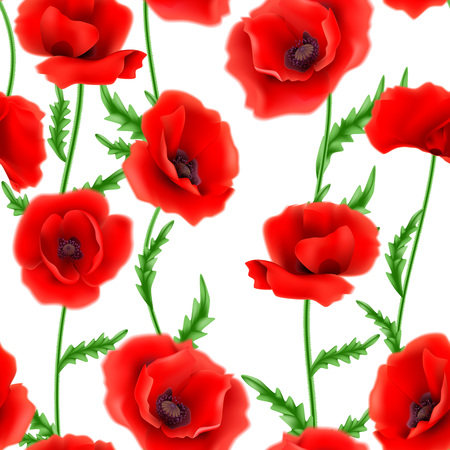 Seamless pattern with red poppy flowers.のイラスト素材