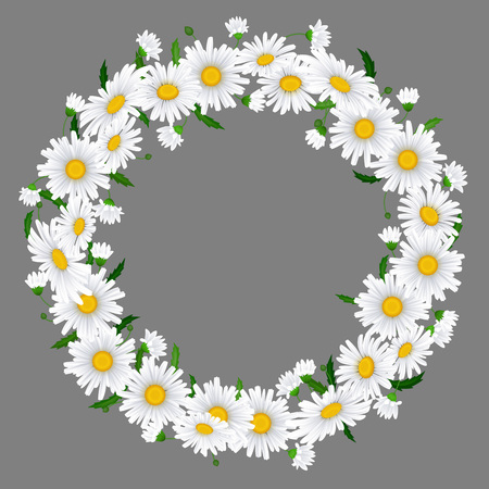 Beautiful chamomile wreath on beige background with place for your text or image. Vector illustration for graphic design.のイラスト素材