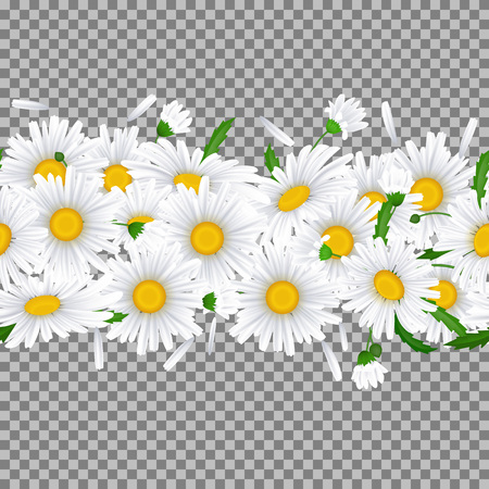 Horizontal Seamless pattern with Chamomileのイラスト素材