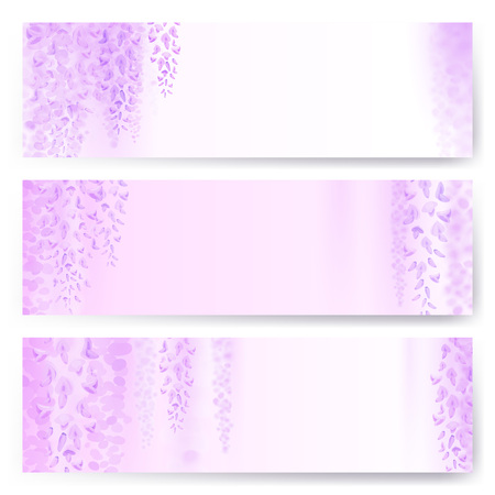 Spring background with blooming wisteria. horizontal bannerのイラスト素材