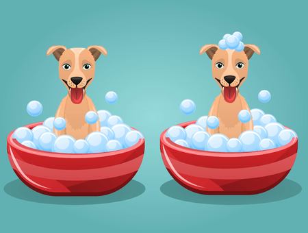 Set of funny and cute vector dogs taking bath in tub,washing,grooming isolated on blue background.のイラスト素材