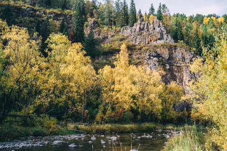 Autumn landscape, Russia sunny leavesの写真素材