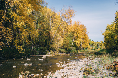 Autumn landscape, Russia sunny leavesの写真素材