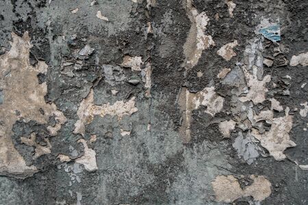 messy wall stucco texture background. Decorative wall paint.の写真素材