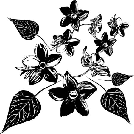 Abstract vector floral compositionのイラスト素材