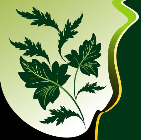 Abstract vector floral compositionのイラスト素材