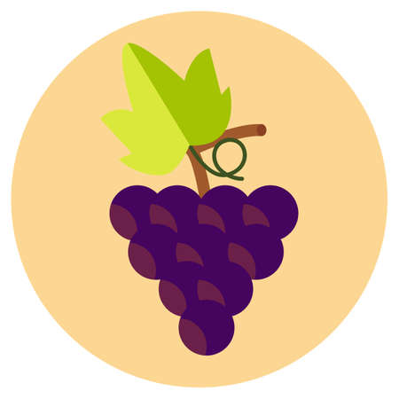 Grapes, vine on a branch with a green leafのイラスト素材