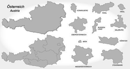 Map of Austria with borders in grayのイラスト素材