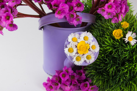 Watering can with fresh flowers