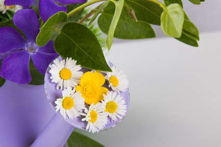 flowers Greetingsの写真素材