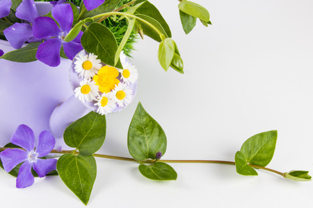 flowers Greetingsの写真素材