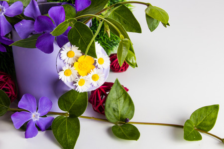 flowers Greetingsの写真素材