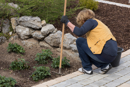 beds careの写真素材