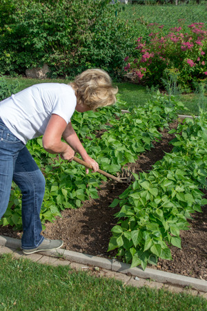 grub bedsの写真素材