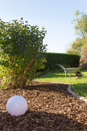 Distribute bark mulch on the waysideの写真素材