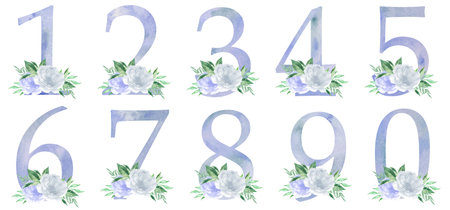 Watercolor numbers with peonies flowers and leves. Romantic set for wedding invitations and cardsの写真素材