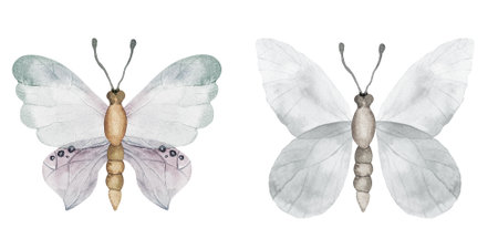 Set of beautiful watercolor butterflies. blue, yellow and red butterfly illustrationの写真素材
