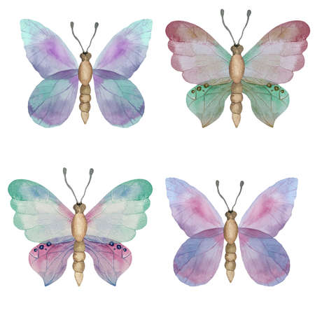 Set of beautiful watercolor butterflies. blue, yellow and red butterfly illustrationの写真素材