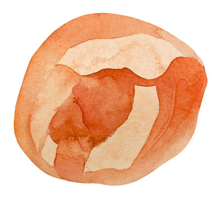 Watercolor illustration of carnelian stone with shiny effect. A cut of orange mineral. A gemstone slice.の写真素材