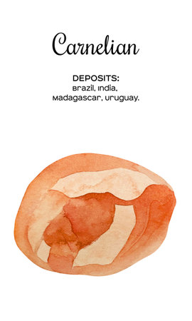 Watercolor illustration of carnelian stone with shiny effect. A cut of orange mineral. A gemstone slice. Deposits of carnelian stoneの写真素材