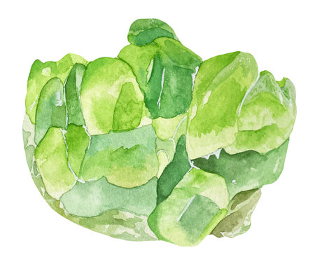 Watercolor illustration of chrysolite stone with streaks effect. A cut of green mineral. A gemstone slice.の写真素材