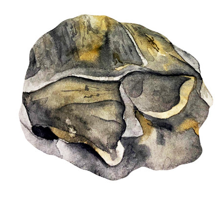 Watercolor illustration of onyx stone with streaks effect. A cut of yellow and black mineral. A gemstone slice.の写真素材
