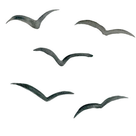 Watercolor flying birds silhouette. Seagull bird symbol and iconの写真素材