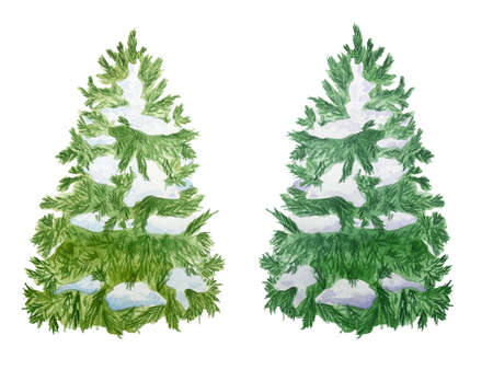 Watercolor set of green conifer trees isolated on white illustrationの写真素材