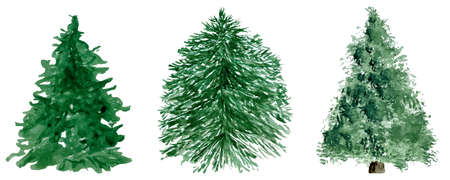 Watercolor set of green conifer trees isolated on white illustrationの写真素材