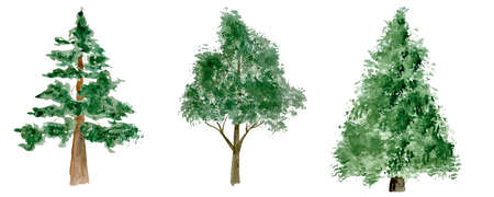 Watercolor set of green forest trees isolated on white illustrationの写真素材