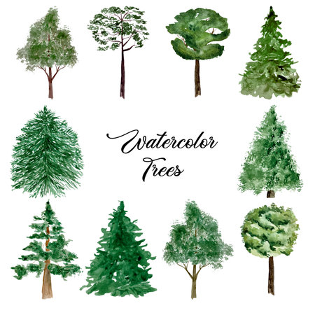 Watercolor set of green forest trees isolated on white illustrationの写真素材