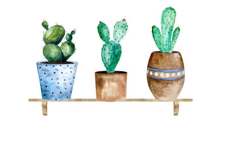 Watercolor illustration of cactus and succulent plants in pot. Watercolor individual flower potの写真素材