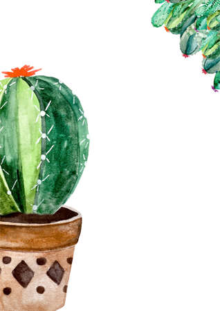 Watercolor illustration of cactus and succulent plants background for invitation.の写真素材