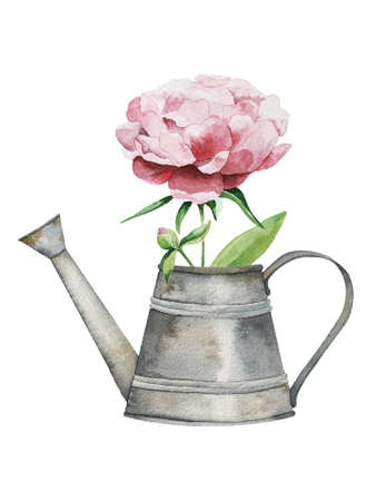 Watercolor illustration of rusty watering can with a pink peonyの写真素材