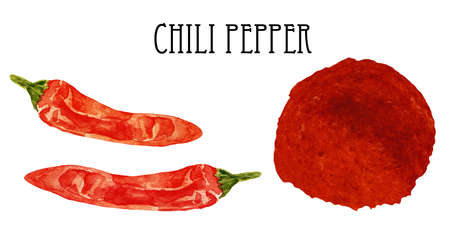 Watercolor illustration of fresh and dry red hot chili pepper. Kitchen spices and herbs set.の写真素材